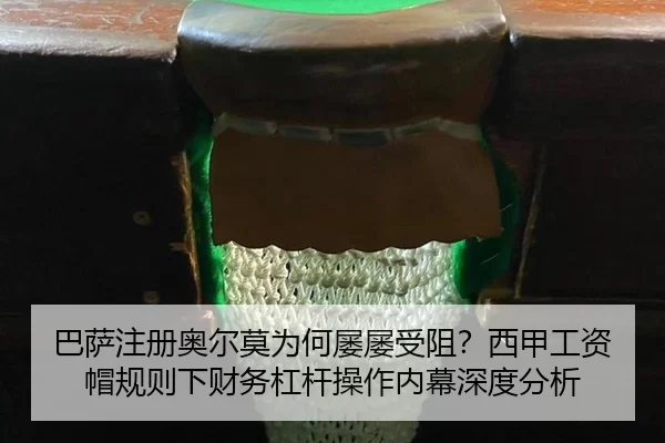 ba-sa-zhu-ce-ao-er-mo-wei-he-lv-lv-shou-zu-xi-jia-gong-zi-mao-gui-ze-xia-cai-wu-gang-gan-cao-zuo-nei-mu-shen-du-fen-xi-2-804.jpg